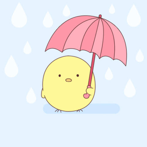 傘の日。ちゃんピヨん